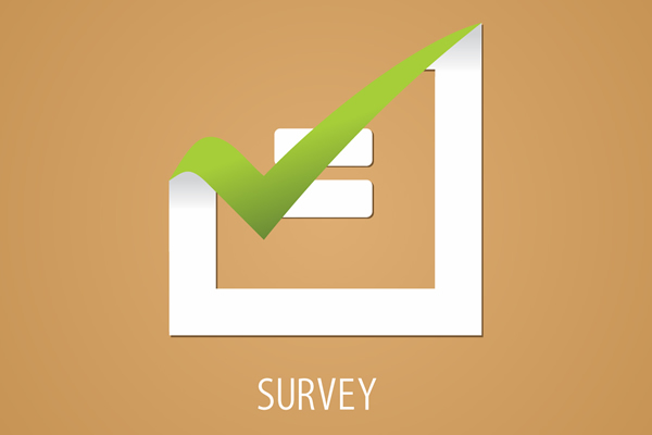 Young Adults Research Study